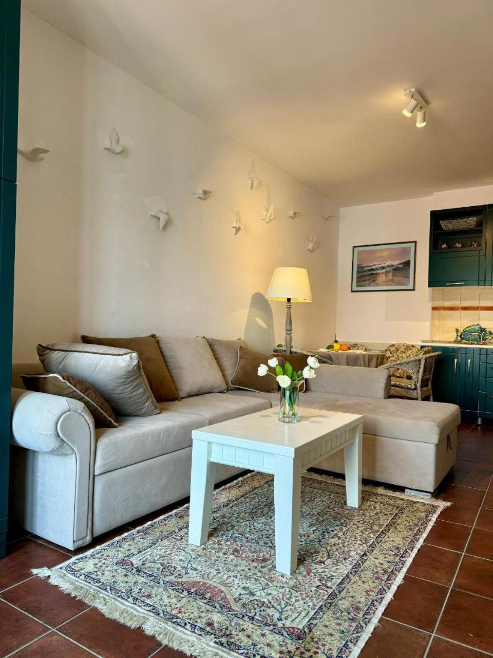 Vikka Boka Appartement Donja Kostanjica Buitenkant foto
