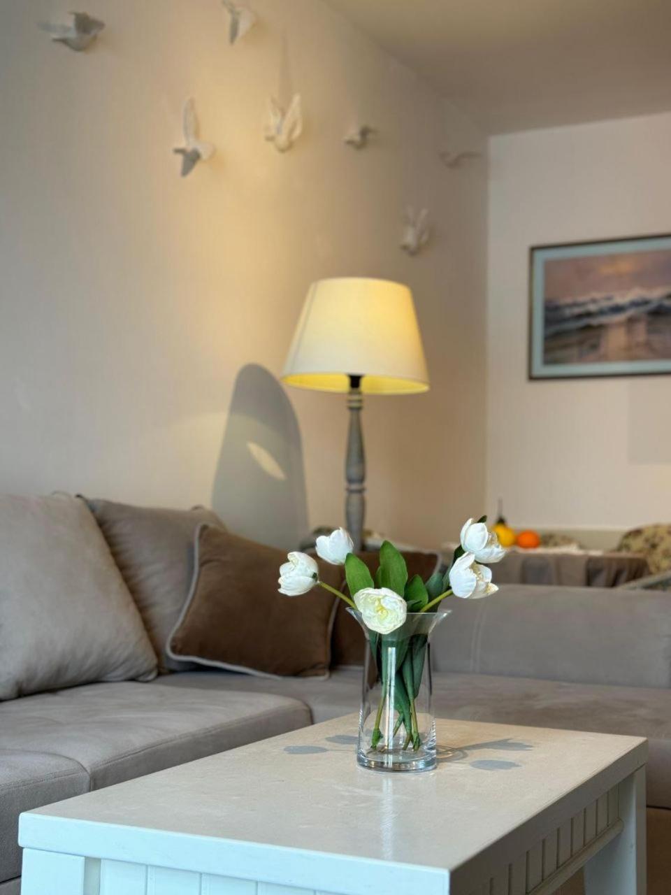 Vikka Boka Appartement Donja Kostanjica Buitenkant foto